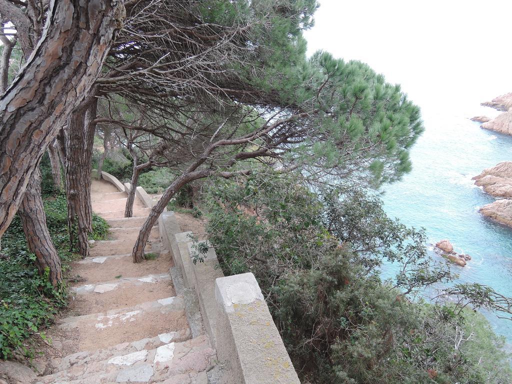 Hostal La Marina Platja d'Aro Eksteriør bilde